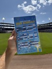 2025 Tampa Bay Rays Schedule Magnet