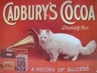 Cadbury s Cocoa Tin Metal Sign A Record Of Success Absolutely Pure