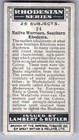 1928 Lambert   Butler Rhodesian Series Tobacco Card  24 Native Warriors  Souther