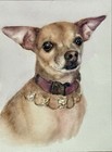 100  Hand-painted Personalized Pet Portrait  watercolor 