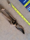 Vintage Livestock Ear Notcher Hog Pig Ear Marking Farm Tool Primitive