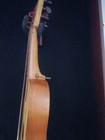 Jarocho Jarana Made In Veracruz Mexico Camepesina