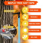 Maple Syrup Tree Tapping Kit With 8l Bags  10 Maple Sap Taps  10 Food 3ft Tub   