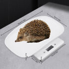 10kg Digital Pet Scale To Measure Weigh New Born Puppy Kitten White Us