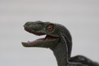 Dinosaurer Papo Velociraptor  55023 Jaw Opens   Closes 6 5 l X4 h New Tag