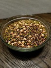The Salad Bar Mix Seeds For Sprouting Microgreens   cool Beans N Sprouts  Brand 