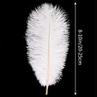 Tharaht White Ostrich Feathers 24pcs Natural Bulk 8-10inch 20cm-25cm For Crafts 