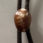 Vintage Serpent   s Head Cowrie Shell Costal Bolo Tie W metal Ends