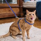  Rabbit Harness And Leash For Walking Leashes Ultra-soft Guinea Pig