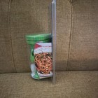 Crofton Hand Held Spiralizer Green Dual Blades Holder Mini Brush 49138