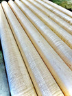 2-3 4 x36   extreme  Curly Tiger Hard Maple Dowel  vac Kiln Dried  Turning Wood