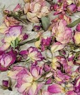 Dried Pink Rose Petals  Buds    Heads For Tea  Craft Soap  Candle Making    More