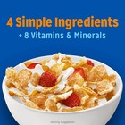 Kellogg s Frosted Flakes Breakfast Cereal  Fat Free  Mega Size  30 6 Oz