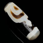 Tibetan Buddhism Agate Aquarius Totem Dzi Bead Amulet Necklace Pendant Zz378