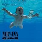 Nirvana Nevermind Banner Huge 4x4 Ft Fabric Poster Tapestry Flag Album Cover Art