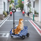 Folding Dog Stroller 4 Wheels Puppy Cats Cart For Travelling Shopping Walking Us