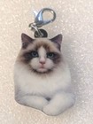 Ragdoll Cat Flat Double-sided Acrylic Purse Charm Zipper Pull Jewelry