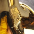 Bundy Trombone Ready To Play Student Beginner Mouthpiece Case Care Kit Selmer