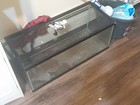 Aqueon Standard Glass 20 Gallon Long Aquarium Tank  Black Trim