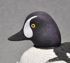 East Coast Style Barrows Goldeneye Duck Decoy Carved Painted Eyes Wmw  ac 