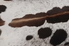 New Cowhide Rugs Area Cow Skin Leather 14 36 Sq feet  47 x44   Cow Hide M1218