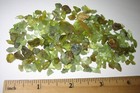 Pile Of Tiny Natural Rough Peridot Crystal Minerals From Pakistan   47 2grams  a