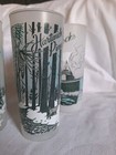 Vintage Hartwick Pines Michigan Souvenir Frosted Drinking Glass Tumbler Set  5 