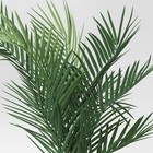 30  Large Phoenix Palm Artificial Plant - Threshold