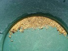   3 Lb California Motherlode Gold Panning Paydirt Bag Fines pickers black Sands