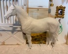 Seunta Orlov Fox Trotter Resin  not A 3d Print  Unpainted