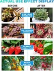 5-head Led Grow Light Full Spectrum For Indoor Plants  Auto Timer  10 Brightness