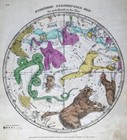 1835 Burritt Celestial Star Map North Sky Polar Polaris Cepheus Ursa Major Hydra