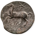 Arpi  Apulia Ae 325-275 Bc Zeus Horse Italy Ancient Bronze Coin 7u