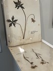1975 Sparta  Nj  Wildflower Collection 63 Specimens School Project- Sussex  Co 