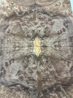 Walnut Burl Raw Wood Veneer 2 Sheets 18   X 11   319h