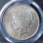 1926-d Peace Silver Dollar - Pcgs Ms 64 - Gold Shield