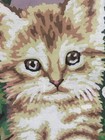Vintage Framed Behind Glass Paint By Number Kitten Kitty Cat 16  X 12  X 1  Cute