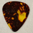 Ac dc Acdc Stevie Young Signature Tour Guitar Pick Stage Used Concert Plectrum