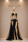 Professional Egyptian Belly Dance Bra   Skirt Set Crystal Rhinestone Costume