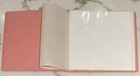 Pokemon S-chinese Sealed Gift Box Sylveon Eevee Gx Theme 480 Slots Card Binder