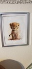 Safari Prints Baby Animals Nursery Zoo Animals Set Of 8 Metal Frame With Glass 