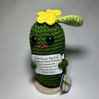 4  Crochet Emotional Mental Support Mini Pickle With Encouraging Message