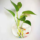 19 5cm Wall Mounted Hanging Fish Bowl Aquarium Tank Plant Flowerpot Vase