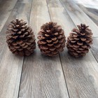 3 Large Natural Pine Cones Lot For Crafts Decorations Decor Wreath