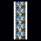 Edward Scissorhands - Edward Trimming Hedges - 35mm 5 Cell Film Strip 056
