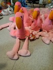 Ty Beanie Baby Pinky The Flamingo Dob February 13  1995 Mwmt 