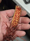 Old Vintage Antique  Hand Carved Made Painted Wood Folk Art Fishing Lure Plug