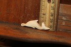 Carved Domesticated Bovine Cow Pendant Talisman Inuit