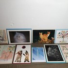 Vintage Greeting Card Lot Unused 80s 90s Cats Birthday Usa Mixed No Envelopes 10