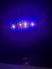 Ecotech Radion Xr15 Blue